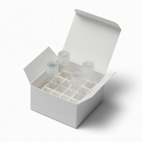 Sample Storage & Handling, cryogenic box with vials, representative image