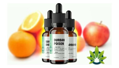 Terpenes
