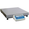 Radwag 60Kg Capacity 1g Readability 16x20" Precision Balance