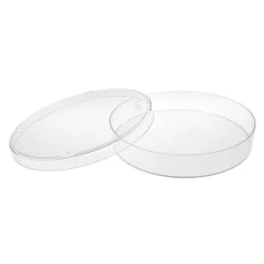 NEST Cell Culture Dishes, clear round dish with its lid set beside it, white background