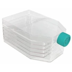 NEST Multi-Layer Cell Culture Flasks, 870 cm², clear stacked-layer flask with green vented cap