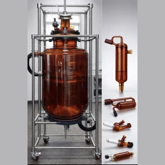 Ai 100L Jacketed Glass Reactor with Air Motor – view 2