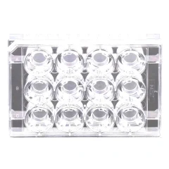 NEST Cell Culture Inserts, Non-Treated, PC, top view of a clear 12-well plate with an insert in each well