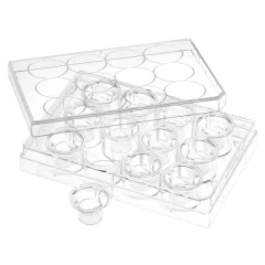 NEST Cell Culture Inserts, TC Treated, PET, clear inserts seated in a multi-well plate with lid, one insert loose