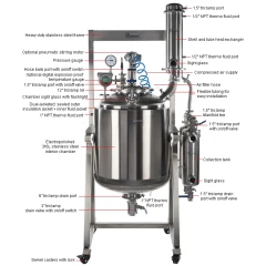 Ai 200L SST Reactor Winterization Package – view 5