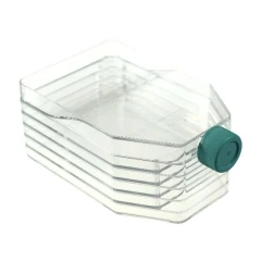 NEST Cell Culture Flasks, clear plastic flask with ridged sides and green screw cap, white background