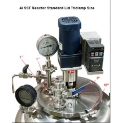 Ai 50L Dual-Jacketed 316L SST Reactor – view 7