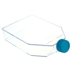 NEST T150 Cell Culture Flask, Canted Neck, clear plastic flask with blue vented cap, white background