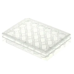 NEST Cell Culture Plates, Tyvek Blister Wrapped, clear multi-well plate with lid, white background
