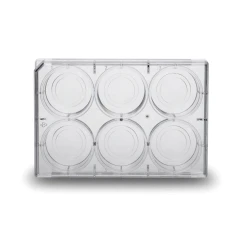 NEST Glass Bottom Cell Culture Dishes/Plates – view 4