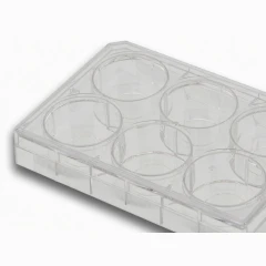 NEST Glass Bottom Cell Culture Dishes/Plates – view 5