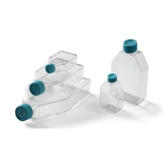 NEST Cell Culture Flasks – view 2