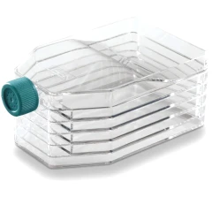 NEST Cell Culture Flasks – view 5