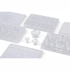 NEST Cell Culture Inserts, Non-Treated, PC – view 5