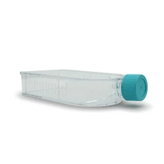NEST T150 Cell Culture Flask, Canted Neck – view 3
