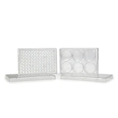 NEST Cell Culture Plates, Tyvek Blister Wrapped – view 6