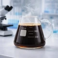 USA Lab Erlenmeyer Flask Mug Borosilicate 3.3 - 500ML